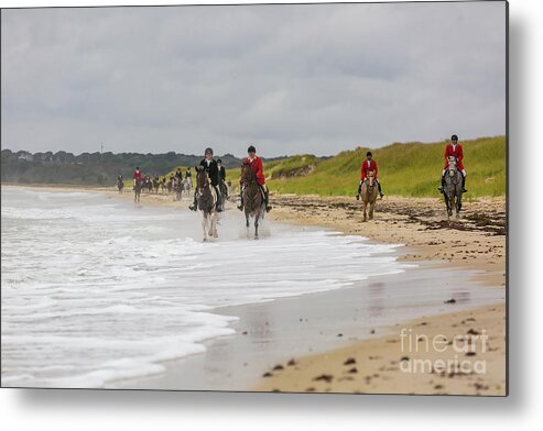 Equine Metal Print featuring the photograph Galloping Horses by JBK Photo Art
