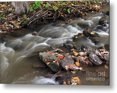 Autumn Metal Print featuring the photograph Gatineau Park's Fortune Creek by Michael Russell
