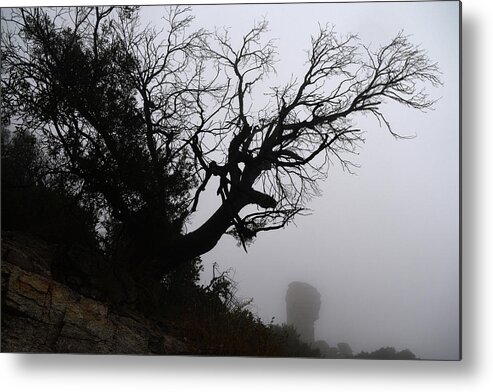 Tree Metal Print featuring the photograph Ghostly Tree by Chance Kafka