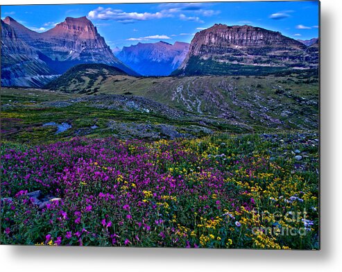 Logan Pass Metal Print featuring the photograph Glacier Landscape Of Color by Adam Jewell