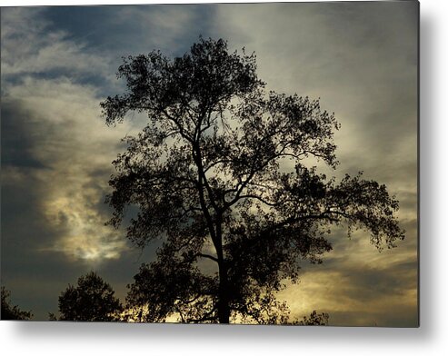 Silhouette Metal Print featuring the photograph Glowing Silhouette by Cate Franklyn