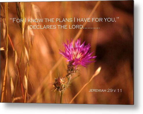 For I Know The Plans Metal Print featuring the photograph God's Plans by Nigel Radcliffe