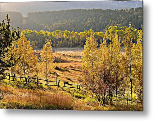 Fall Metal Print featuring the photograph Golden Hour by Dorrene BrownButterfield