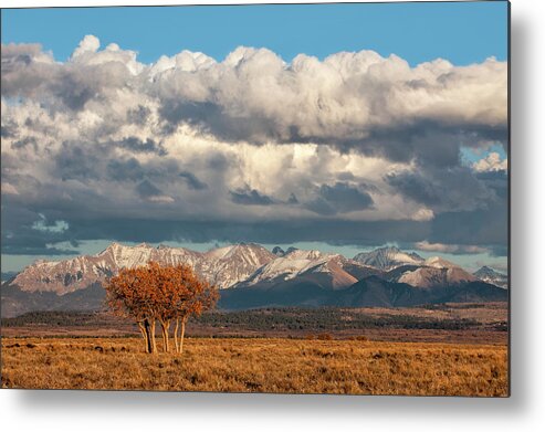 Mountains Metal Print featuring the photograph Golden Hour Gamble Oaks by Denise Bush