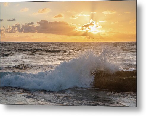 Golden Hour Metal Print featuring the photograph Golden Rays by Local Snaps Photography