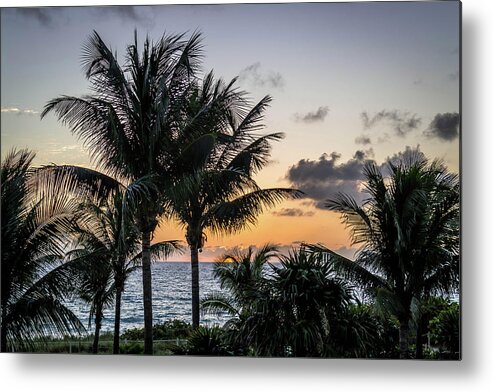 Miami Metal Print featuring the photograph Good Morning, Sun by Susie Weaver