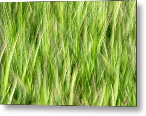 Grass Metal Print featuring the photograph Grass Pattern 2 by Kathy Paynter