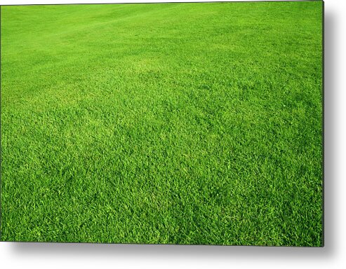 Scenics Metal Print featuring the photograph Green Grass Field by Rouzes
