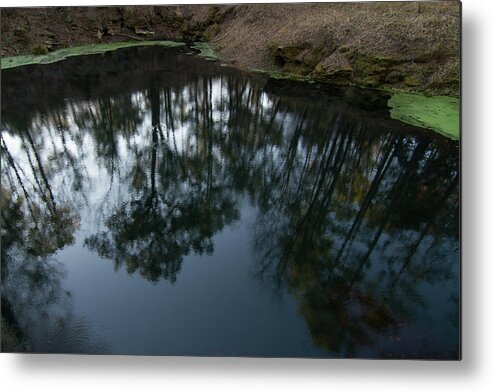 Florida Metal Print featuring the photograph Green Sink Reflection by Paul Rebmann