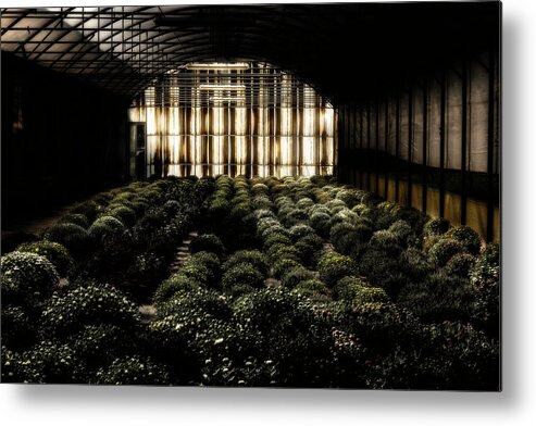 Greenhouse Metal Print featuring the photograph Greenhouse by Wolfgang Stocker