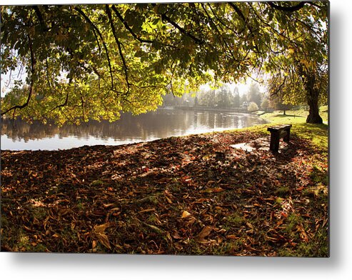 Tranquility Metal Print featuring the photograph Ground Covered With Fallen Leaves Along by John Short / Design Pics