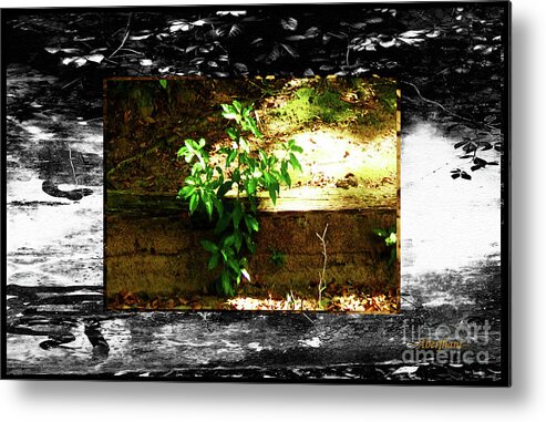 Adaptation Metal Print featuring the photograph Growing Where Life Puts Us by Aberjhani