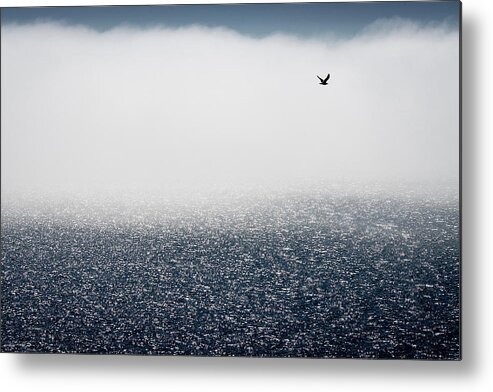 Sea Metal Print featuring the photograph Gulls Don\'t Care For The Fog by Davor Goll
