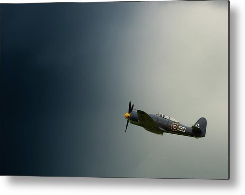 Aircraft Metal Print featuring the photograph Hawker Sea Fury into the blue by Scott Lyons