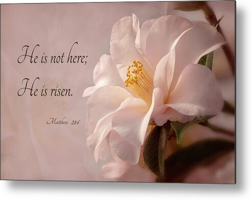 Flower Metal Print featuring the photograph He Is Risen by Mary Jo Allen