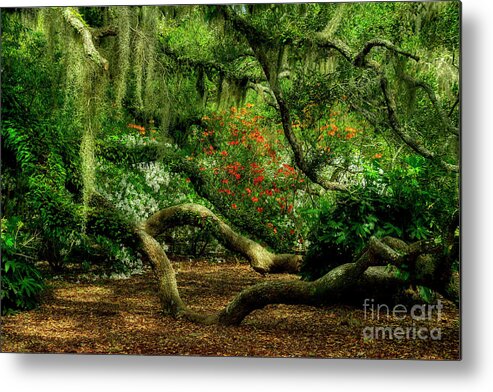 Scenic Metal Print featuring the photograph Hidden Under The Old Oak Tree by Kathy Baccari