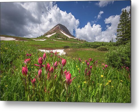 Durango Metal Print featuring the photograph Highcountry Wildflowers by Jen Manganello