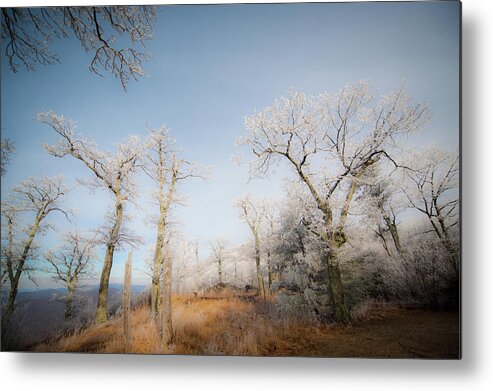 Blue Ridge Metal Print featuring the photograph Hilltop Hoarfrost by Mark Duehmig
