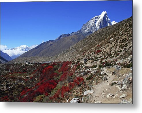 Scenics Metal Print featuring the photograph Himalayan Landscape by Pal Teravagimov Photography