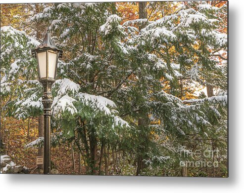 Lamppost Metal Print featuring the photograph Holidayesque by Amfmgirl Photography