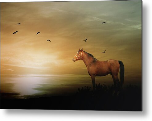 Horse Metal Print featuring the photograph Horse Standing On Edge by Christiana Stawski