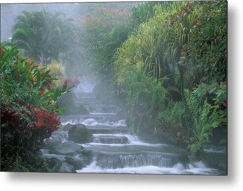 Arenal Metal Print featuring the photograph Hot Spring Cascade From Tabacon Hot by Nhpa