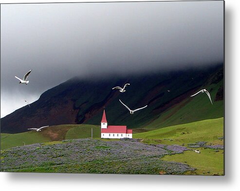 Grass Metal Print featuring the photograph Icelandic Country Church With Gulls by Photo By Bob Travis