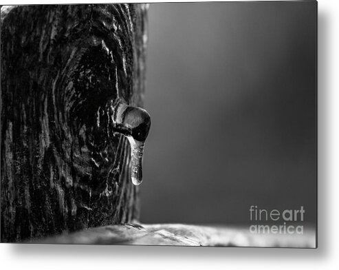 Ice Metal Print featuring the photograph Icy Drip by JT Lewis