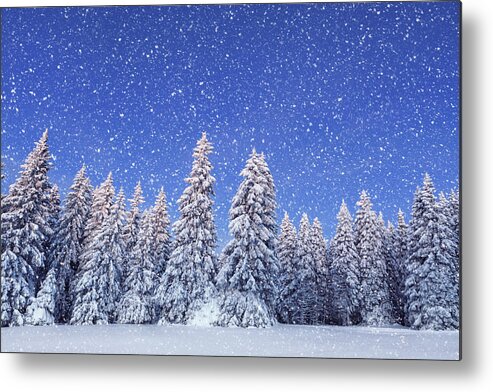 Scenics Metal Print featuring the photograph Idyllic Winter Day by Borchee