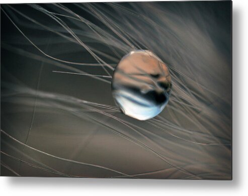 Macro Metal Print featuring the photograph Imagine by Michelle Wermuth