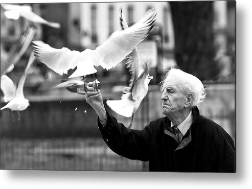 Bird
Feeder
Paris
France
Notredame
Seagulls
Old Metal Print featuring the photograph In Front Of Notre Dame by Dan M?r??escu
