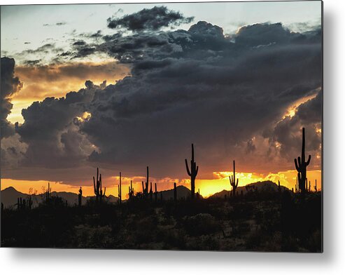 Saguaro Sunset Metal Print featuring the photograph In The Shadow Of The Desert by Saija Lehtonen