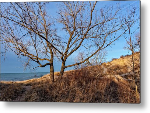 Lake Michigan Metal Print featuring the photograph Indiana Dunes by Chris Spencer