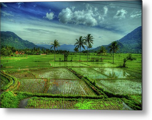Tranquility Metal Print featuring the photograph Indonesia - Java - Landscapes And Vistas by Stewart Leiwakabessy