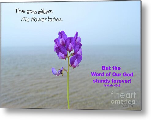  Metal Print featuring the mixed media Isaiah 40 8 by Lori Tondini