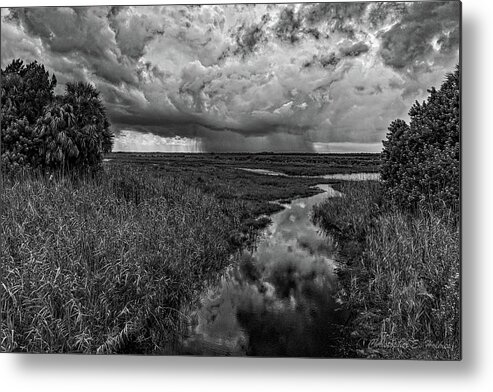 Monochrome Metal Print featuring the photograph Isolated Shower - BW by Christopher Holmes