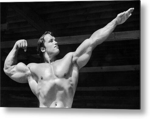 Arnold Schwarzenegger Metal Print featuring the photograph Its Muscle by Hulton Archive