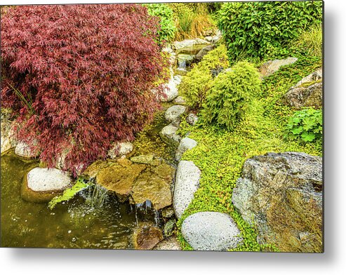 Landscapes Metal Print featuring the photograph Japanese Garden-4 by Claude Dalley