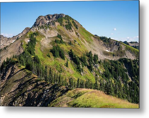 Mountain Metal Print featuring the photograph Johnson Mountain Covered In Green by Cavan Images