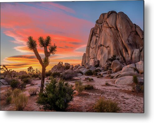 California Metal Print featuring the photograph Joshua Tree Sunset by Peter Tellone