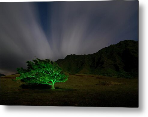 Kaaawa Valley Metal Print featuring the photograph Tree of Life by David L Moore