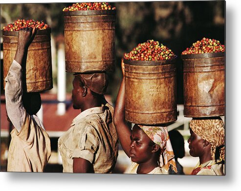 Kenya Metal Print featuring the photograph Kenya, Women Carrying Buckets Of Coffee by Christopher Pillitz