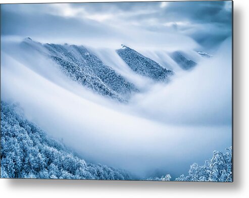 Balkan Mountains Metal Print featuring the photograph Kingdom Of the Mists by Evgeni Dinev
