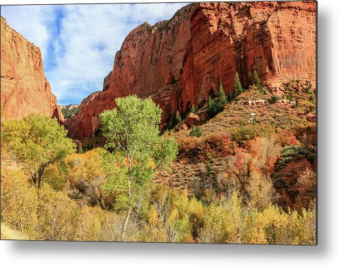 Canyons Metal Print featuring the photograph Kolob Canyon 1, Zion National Park by Dawn Richards