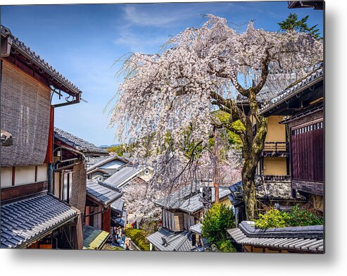 Trees Metal Print featuring the photograph Kyoto, Japan At The Higashiyama by Sean Pavone