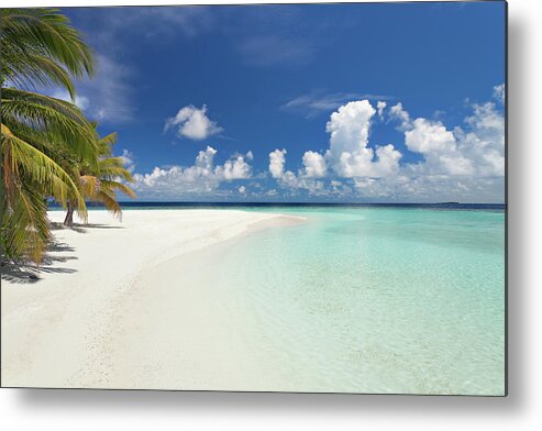 Landscape Metal Print featuring the photograph Lagoon Beach Palmtree by Amriphoto