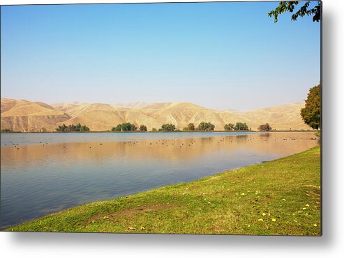 California Metal Print featuring the photograph Lake Ming In Bakersfield On A Warm by Lpettet
