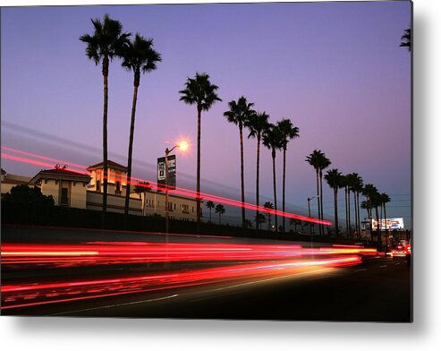 Mayor Metal Print featuring the photograph Las Signature Palm Trees Are by David Mcnew