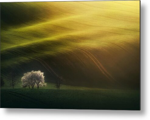 Landscape Metal Print featuring the photograph Last Rays by Grzegorz Lewandowski