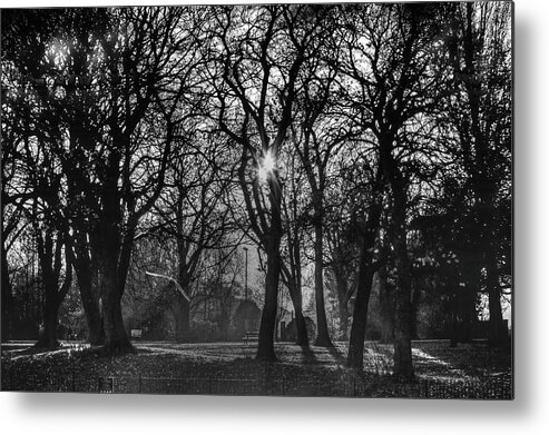Sun Metal Print featuring the photograph Late Afternoon Sun Monochrome by Jeff Townsend